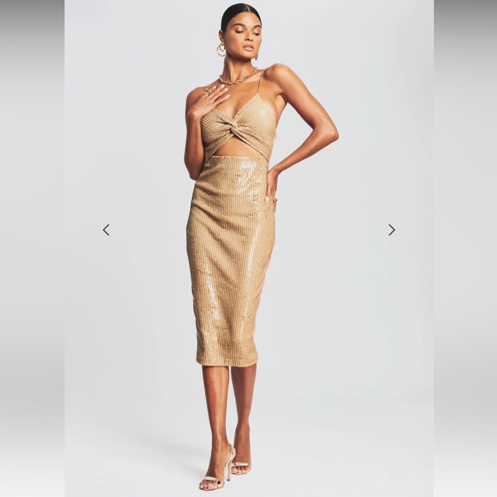 New with tags retrofete sariah sequin dress, never worn